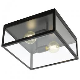 162-11010  LED 2 Light Flush Ceiling Light Black 