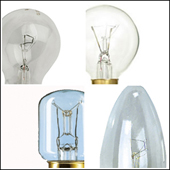 Standard Light Bulbs 